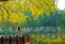 海王捕鱼九游版本下载-海王捕鱼九游版本——欢乐海战的绝佳选择