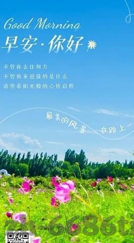 mk体育mk-MK体育MK，重塑体育精神的探索之旅